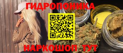 гашиш Кингисепп