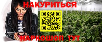 гашиш Кингисепп