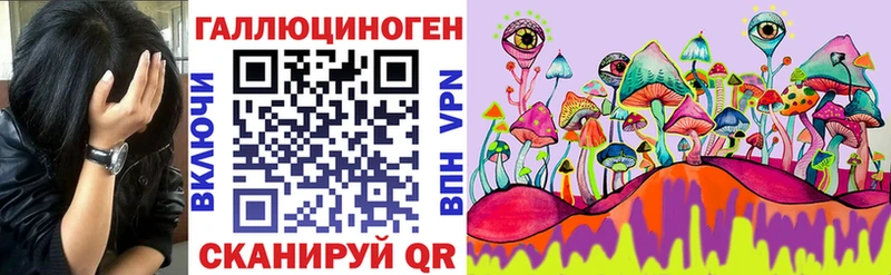 Галлюциногенные грибы MAGIC MUSHROOMS  где можно купить наркотик  Екатеринбург 