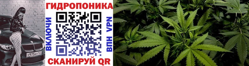 Каннабис план  Екатеринбург 
